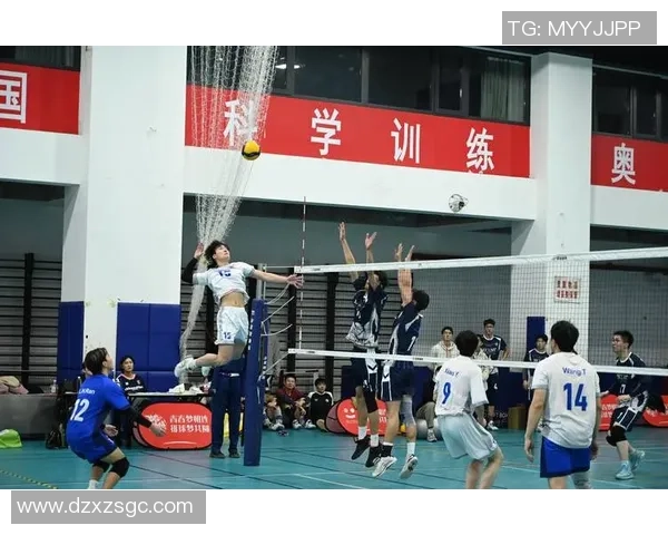 排球盛宴：深入探索杭州排球队的耐力与团队精神
