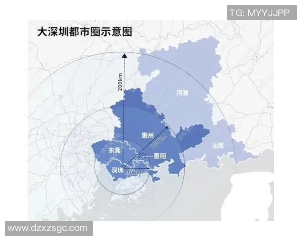 深圳乒乓球队区域防守革新背后的战术思考与实践探索