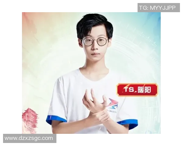 王者荣耀BLG战队个人能力深度分析与战术应用探讨