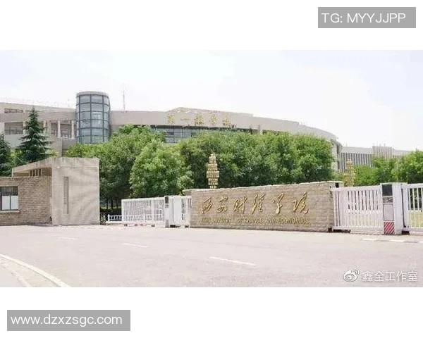 西安飞盘队近期状态分析与未来发展展望探讨 西安飞盘队近期状态分析与未来发展展望探讨