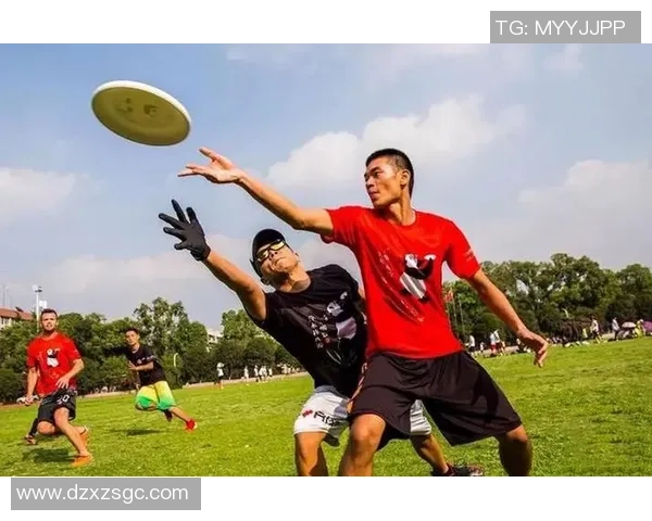 飞盘精神：见证上海飞盘队拼搏与团结的真实故事