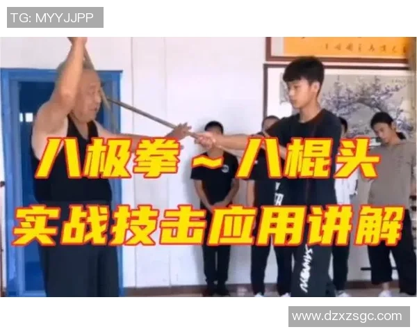 深入分析杭州排球队防反战术的独特魅力与实战应用