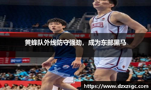 黄蜂队外线防守强劲，成为东部黑马