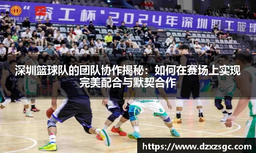 深圳篮球队的团队协作揭秘：如何在赛场上实现完美配合与默契合作